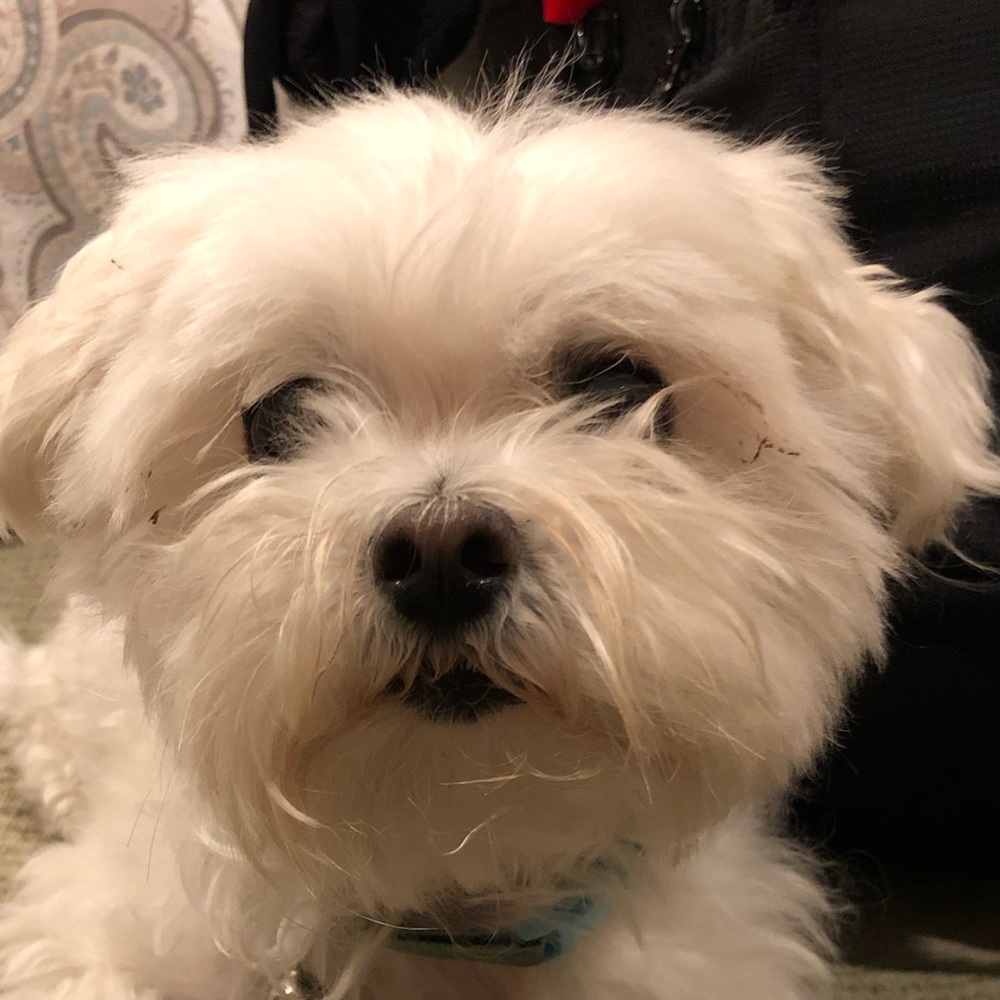 Meet your Posher, Marilyn